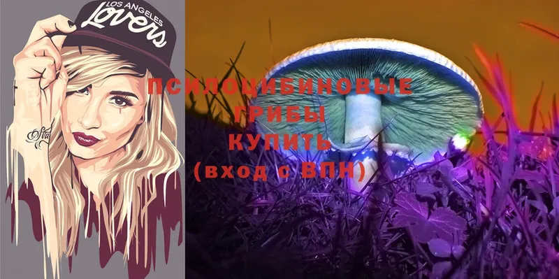 KRAKEN онион  наркошоп  Вилюйск  Галлюциногенные грибы MAGIC MUSHROOMS 